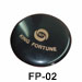 FP-05 PROTECTOR DELANTERO Y BORDE DECORADO